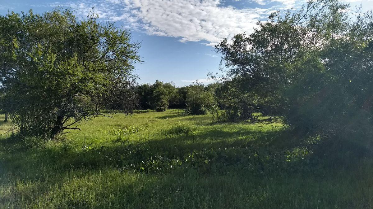 343 has campo ganadero sobre asfalto