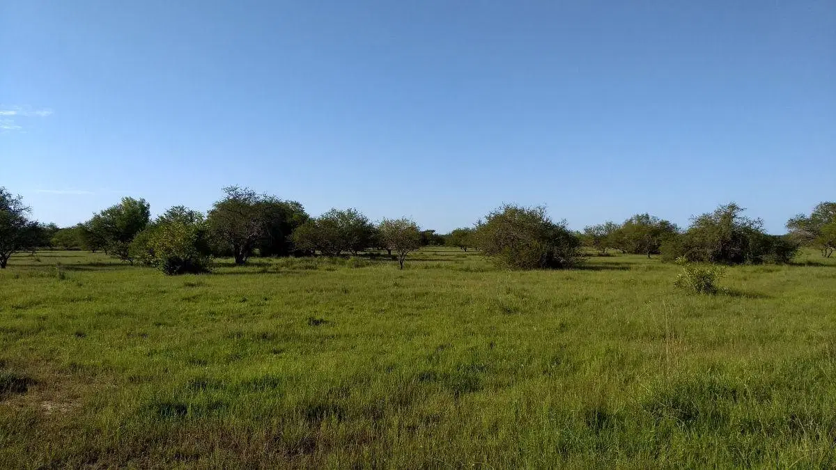 343 has campo ganadero sobre asfalto 1