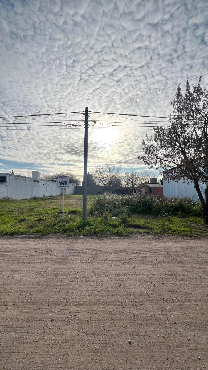 Terreno con Excelente Ubicacion Colonia Caroya 4