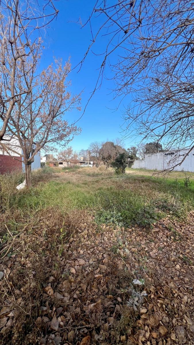 Terreno con Excelente Ubicacion Colonia Caroya 1