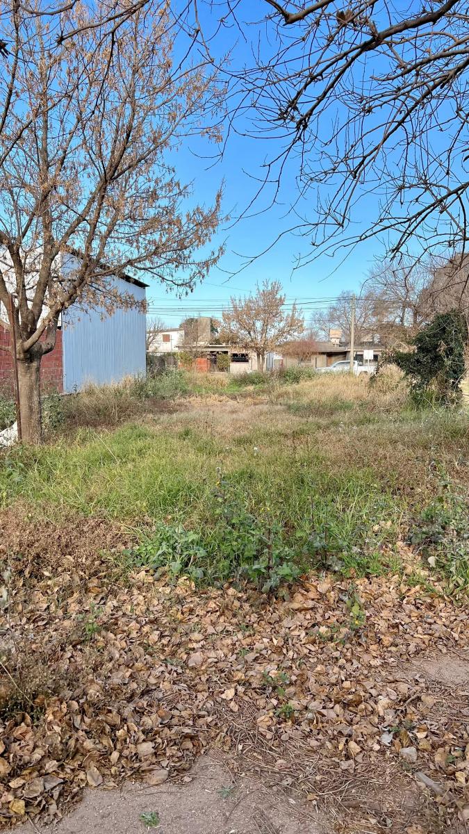 Terreno con Excelente Ubicacion Colonia Caroya 2