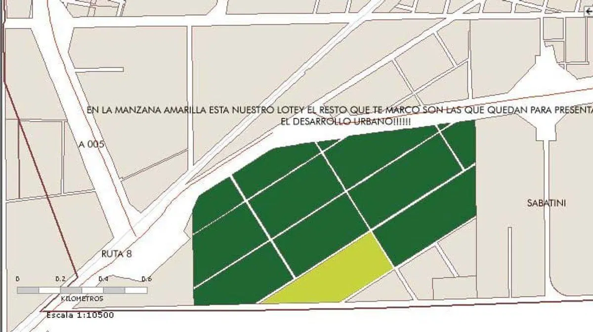 Plano 5