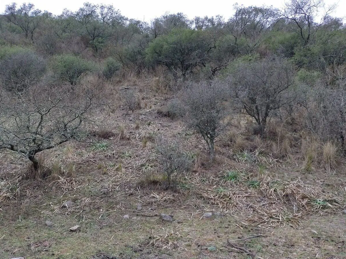 VENTA 23 HECTAREAS DIQUE LA QUEBRADA RIO CEBALLOS 4