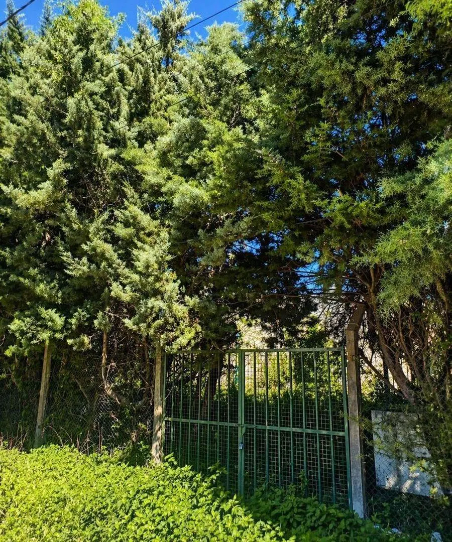VENTA TERRENO EXCELENTE UBICACION EN BIALET MASSE 2