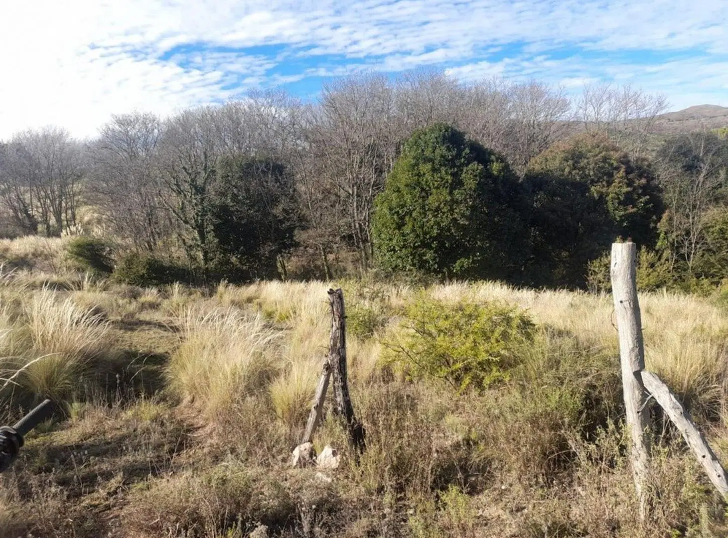 EXCELENTE LOTE EN DOLORES PUNILLA 4
