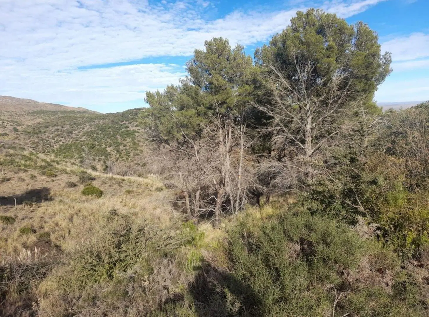 EXCELENTE LOTE EN DOLORES PUNILLA 3