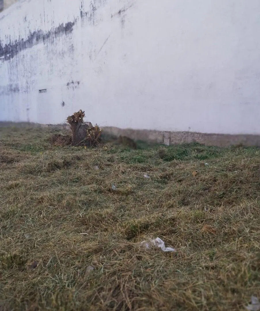 VENTA TERRENO PARA INVERSIONISTA EN B° PUEYRREDON 8