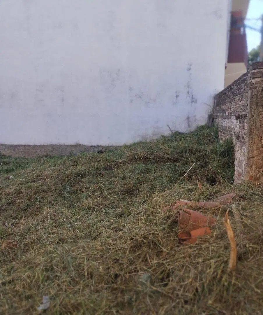 VENTA TERRENO PARA INVERSIONISTA EN B° PUEYRREDON 5
