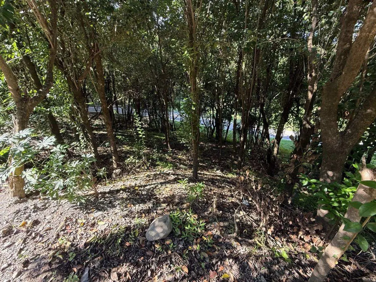 VENTA LOTE ESTANCIA SAN MIGUEL 2
