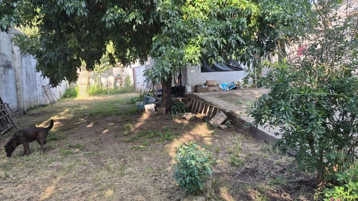 CASA 2 DORMITORIOS EN BIALET MASSÉ 5