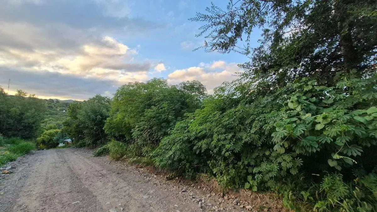 LOTE EN VENTA RIO CEBALLOS 5