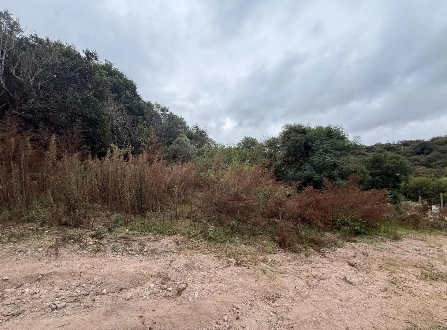 VENTA DE LOTES EN RIO CEBALLOS 3