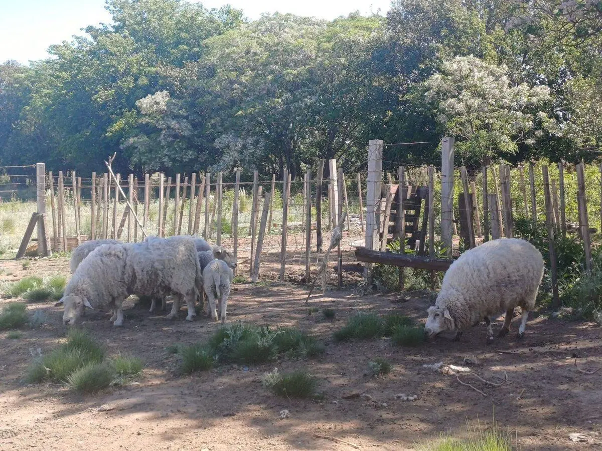 VENTA CASA 4D CON 2HA EL QUEBRACHAL 4
