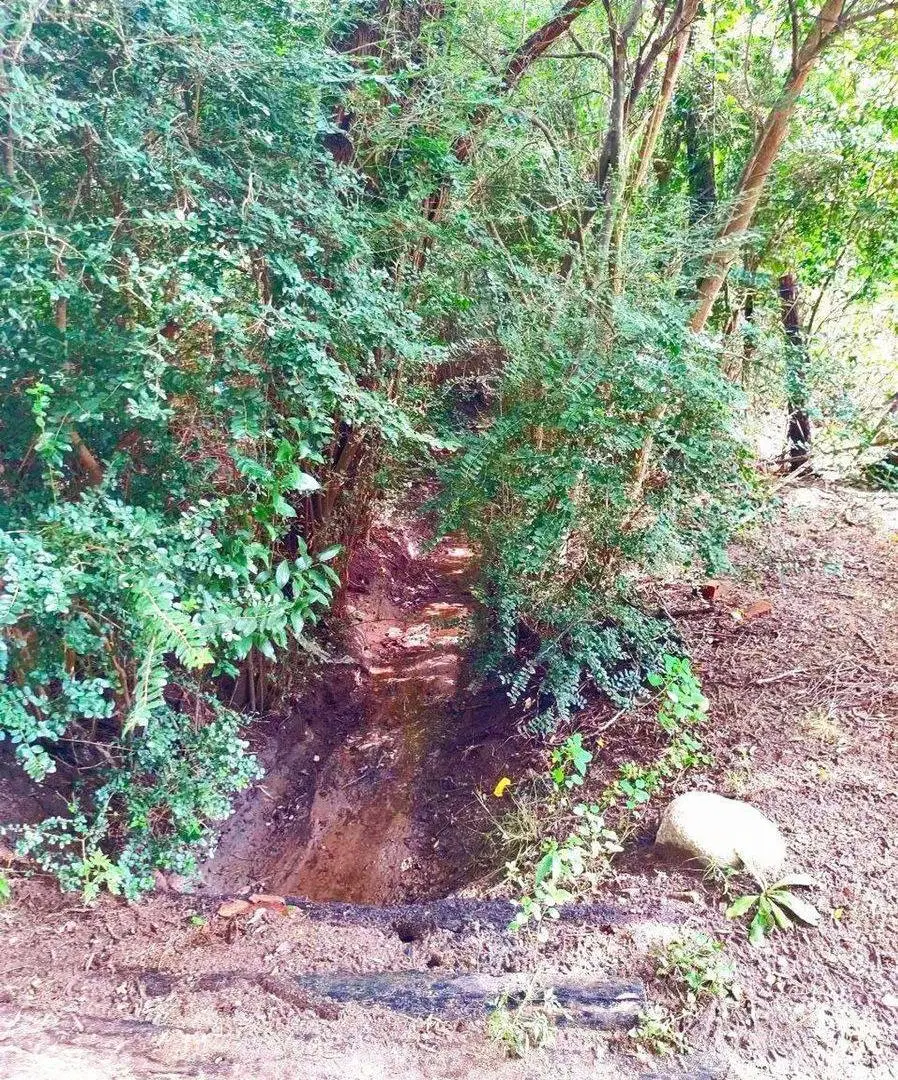 TERRENO 1 HA EN TRASLASIERRA LAS CALLES 4