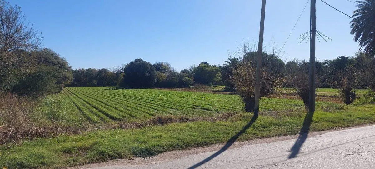VENTA TERRENO SOBRE CAMINO SAN CARLOS 4