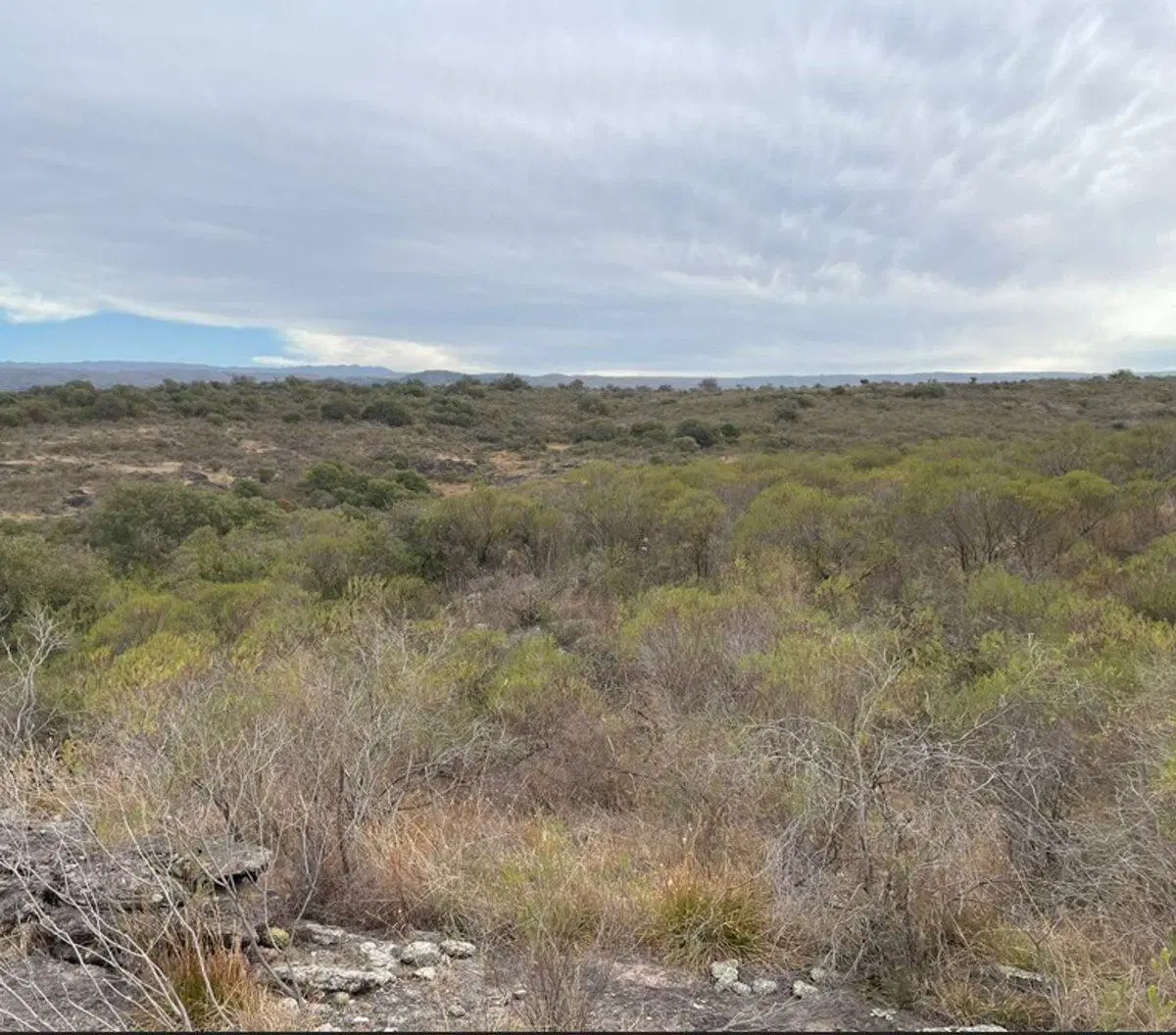 VENTA LOTE  EN CABALANGO 2,2 has. B° SEMICERRADO 3