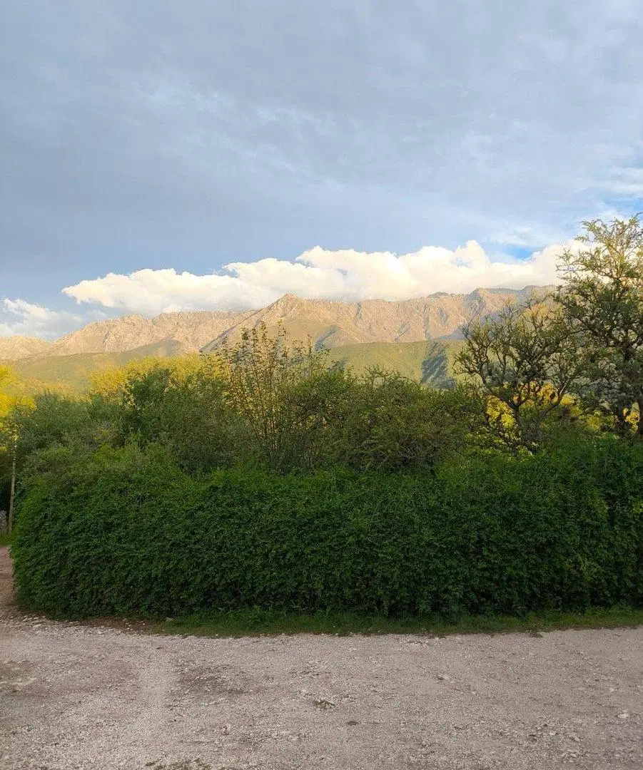 SE VENDE CASA DE CAMPO EN LOS HORNILLOS 2