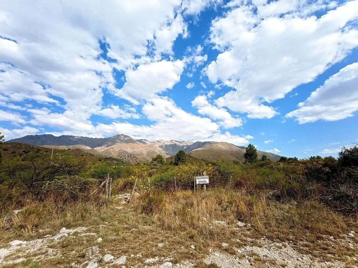 VENTA ESPECTACULAR LOTE 6521 M2 EN LOS HORNILLOS 2