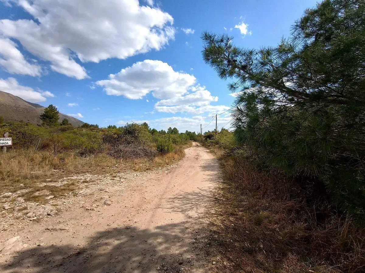 VENTA ESPECTACULAR LOTE 6521 M2 EN LOS HORNILLOS 4