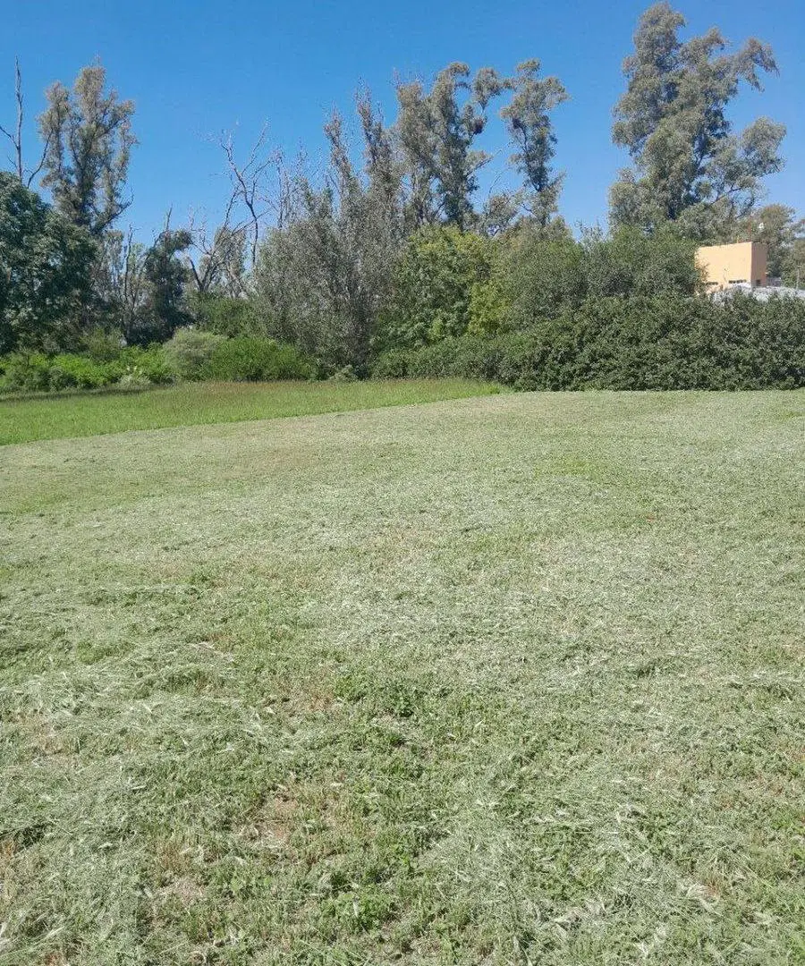 TERRENO DE 4000 MTS2 EN VILLA DEL PRADO 2