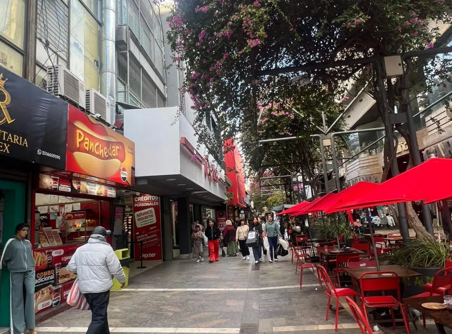 SE VENDE LOCAL COMERCIAL EN BARRIO CENTRO 5