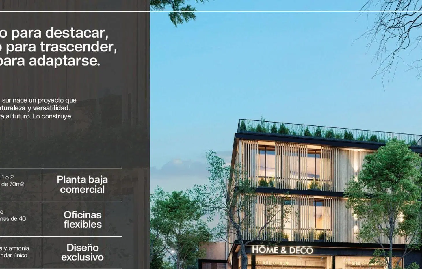 VENTA LOCAL COMERCIAL ZONA SUR 5
