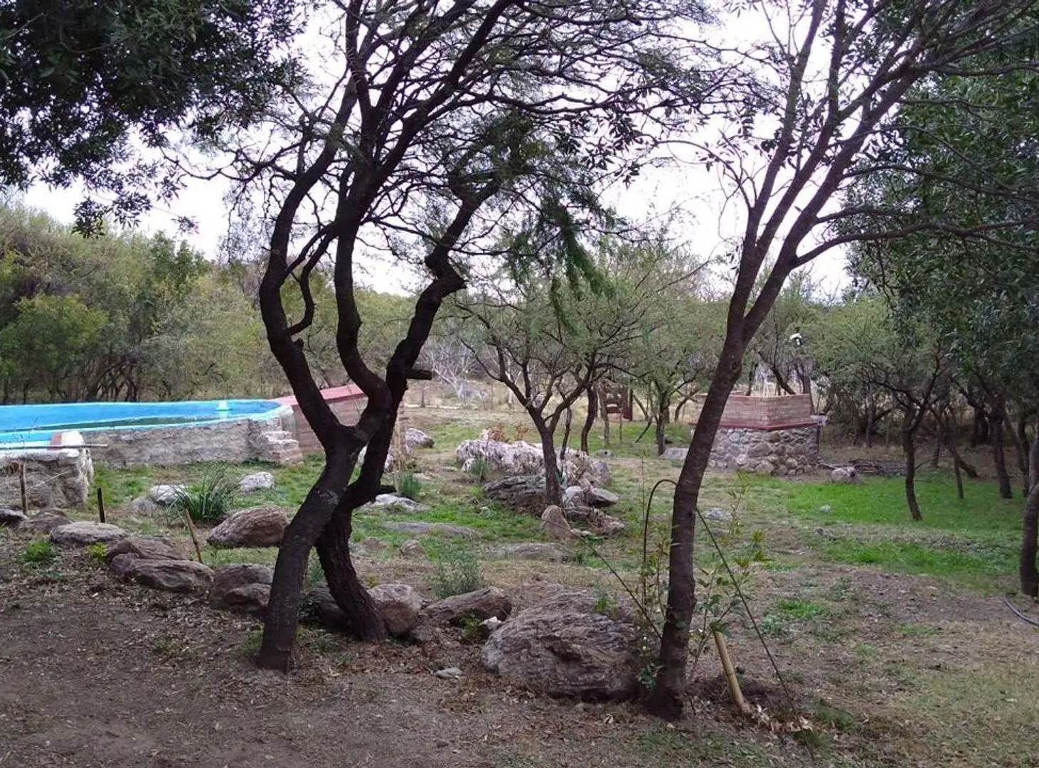 VENTA DE ESTANCIA DE 3 HECTAREAS EN SAN JAVIER 4