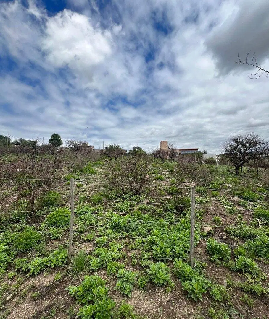 VENTA TERRENO ESTANCIA VIEJA 3