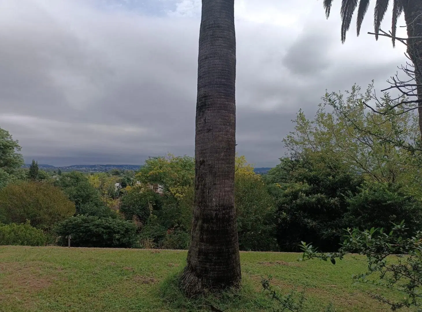 VENTA IMPONENTE LOTE 9.000MTS EN VILLA BELGRANO 8