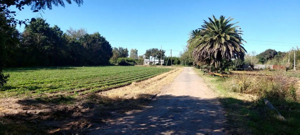 VENTA TERRENO SOBRE CAMINO SAN CARLOS 4