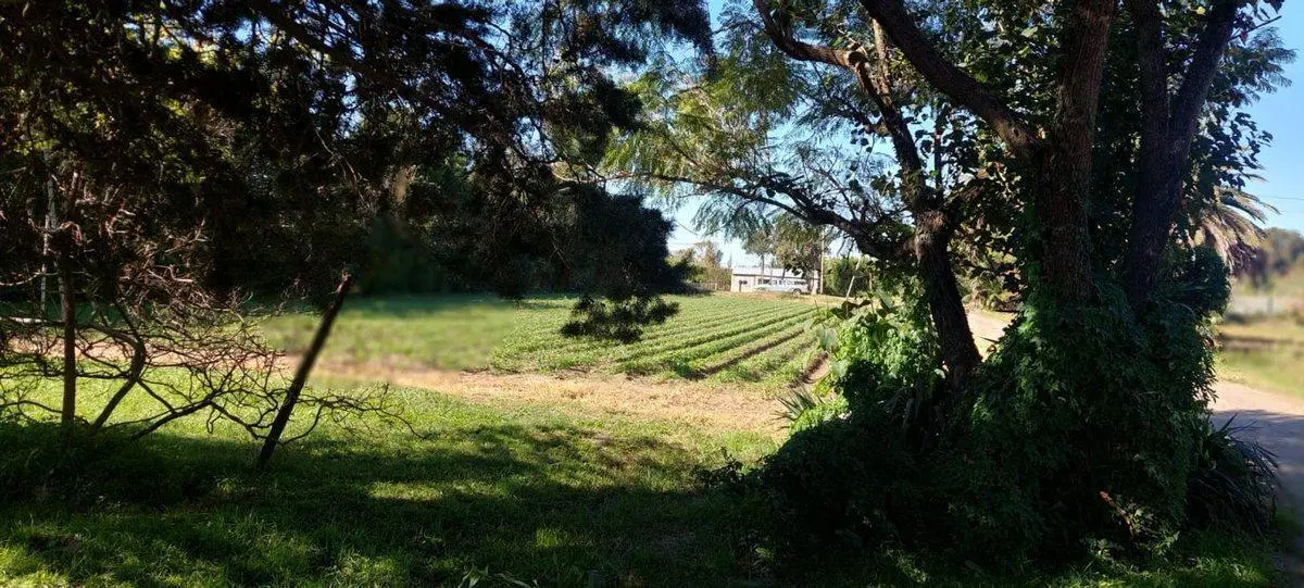VENTA TERRENO SOBRE CAMINO SAN CARLOS 8