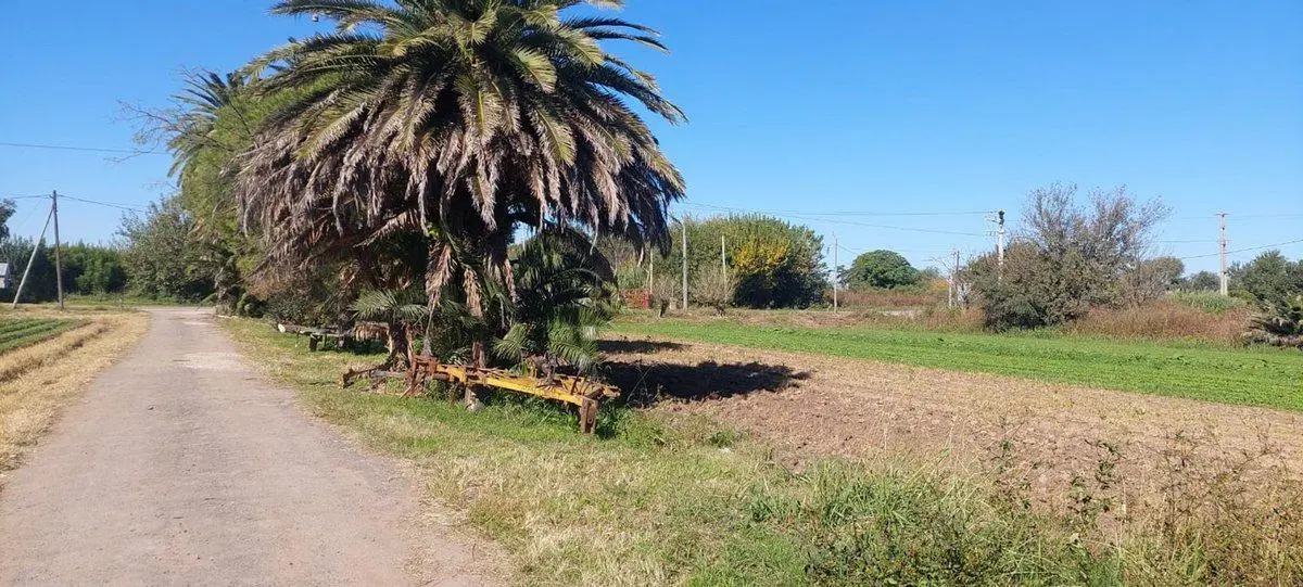 VENTA TERRENO SOBRE CAMINO SAN CARLOS 3