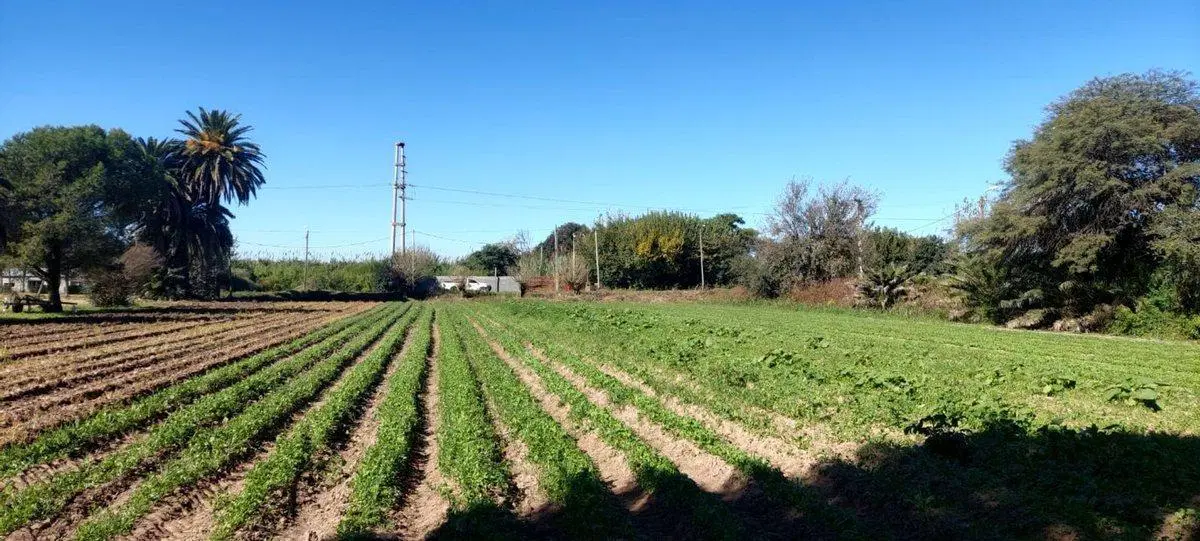 VENTA TERRENO SOBRE CAMINO SAN CARLOS 2