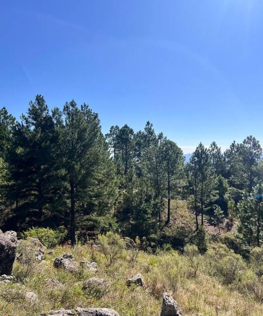 VENTA LOTE  5.834 MTRS CON ESCRITURA. SAN CLEMENTE 8