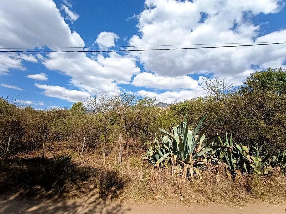 VENTA ESPECTACULAR LOTE 6521 M2 EN LOS HORNILLOS 3
