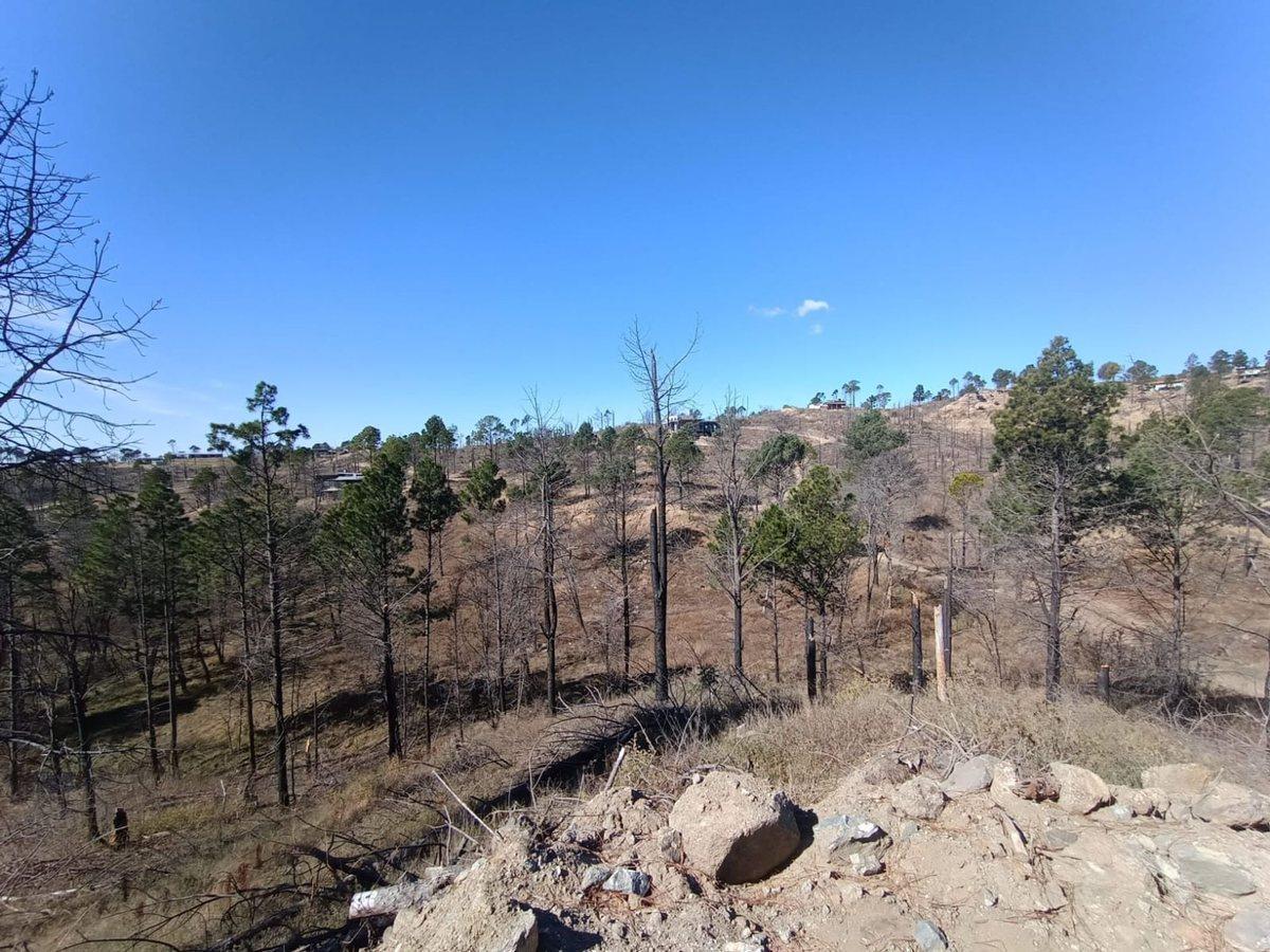 Foto de VENTA ESPECTACULAR LOTE VILLA DEL CONDOR 10.720 M2, imagen 2