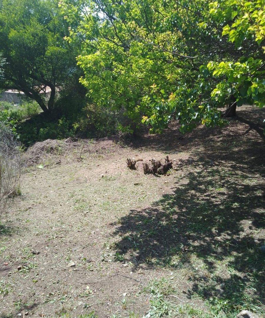 Foto de LOTE CENTRICO LA SERRANITA, imagen 2