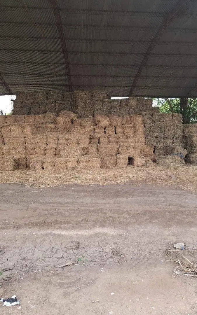 VENTA LOTE 11 DE SEPTIEMBRE MZ 1 L 3 6