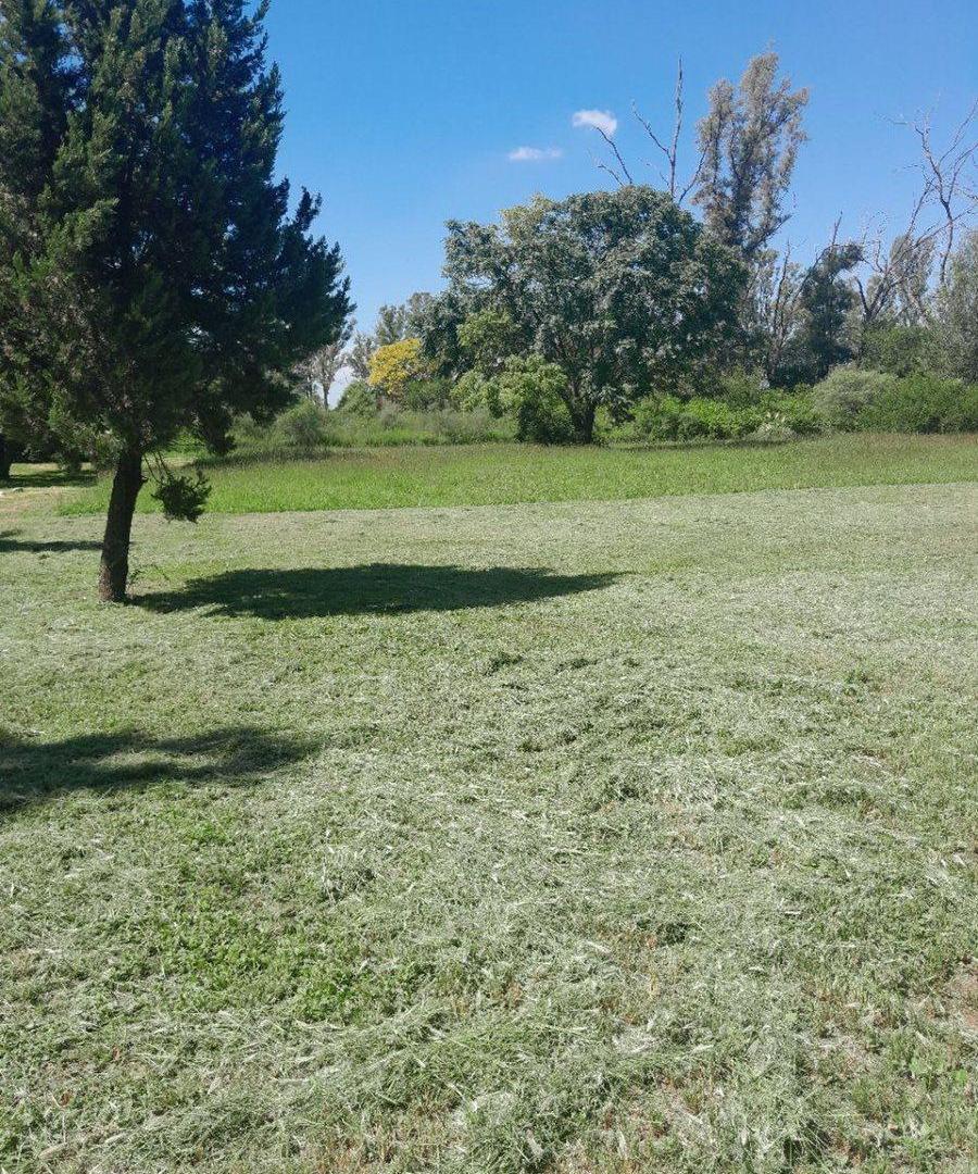 Foto de TERRENO DE 4000 MTS2 EN VILLA DEL PRADO, imagen 4