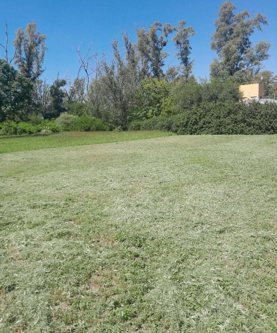 Foto de TERRENO DE 4000 MTS2 EN VILLA DEL PRADO, imagen 2
