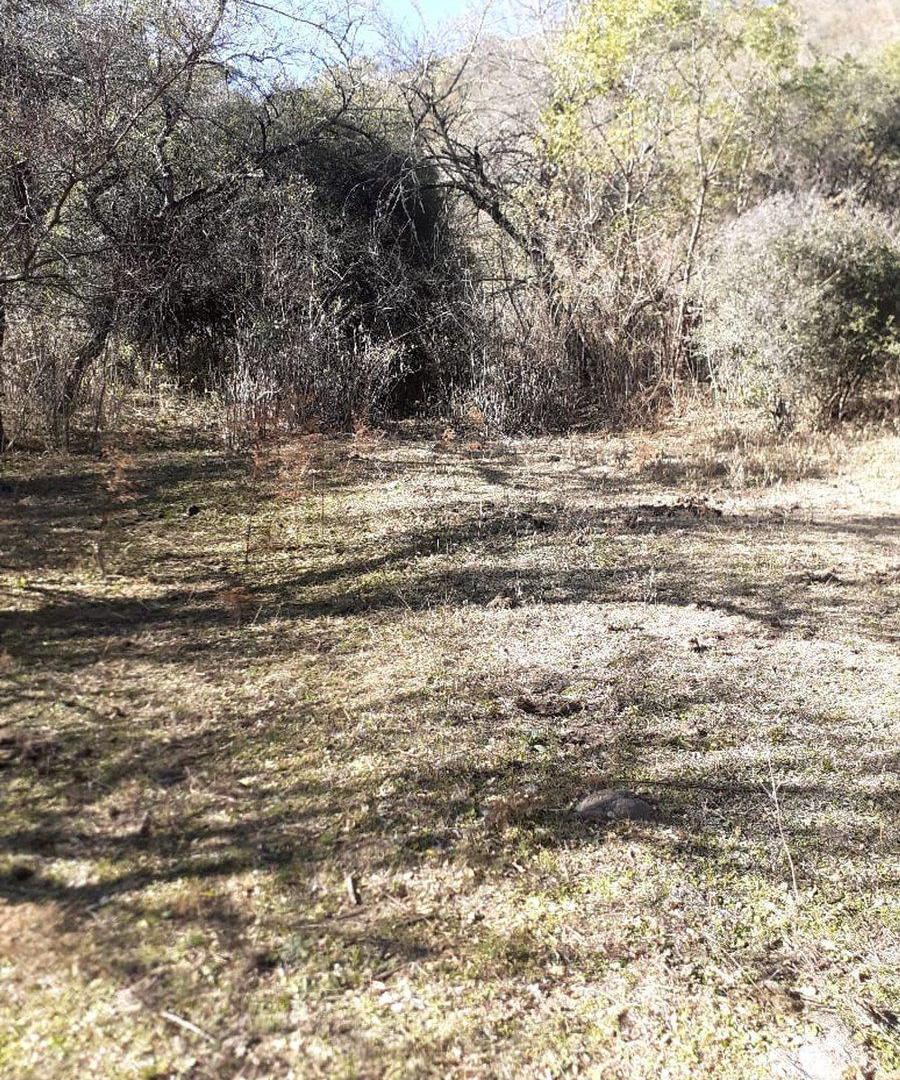 Foto de VENTA 23 HECTAREAS DIQUE LA QUEBRADA RIO CEBALLOS, imagen 3