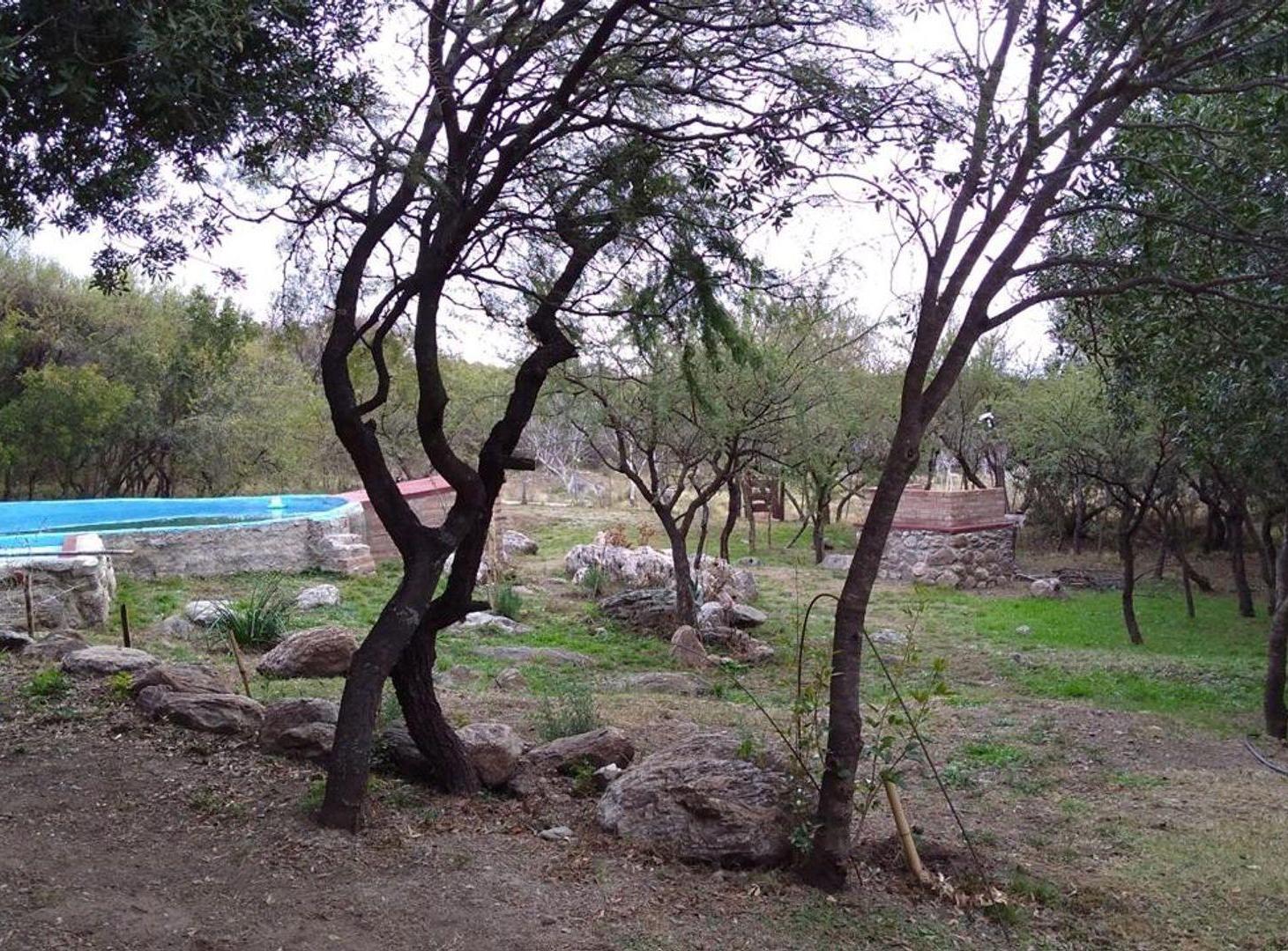 Foto de VENTA DE ESTANCIA DE 3 HECTAREAS EN SAN JAVIER, imagen 1