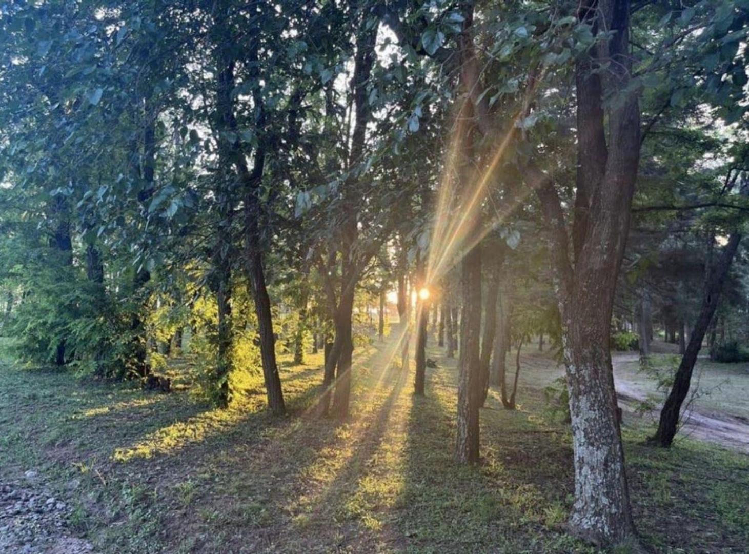 Foto de VENTA LOTE LOS REARTES CORDOBA 510M2, imagen 4