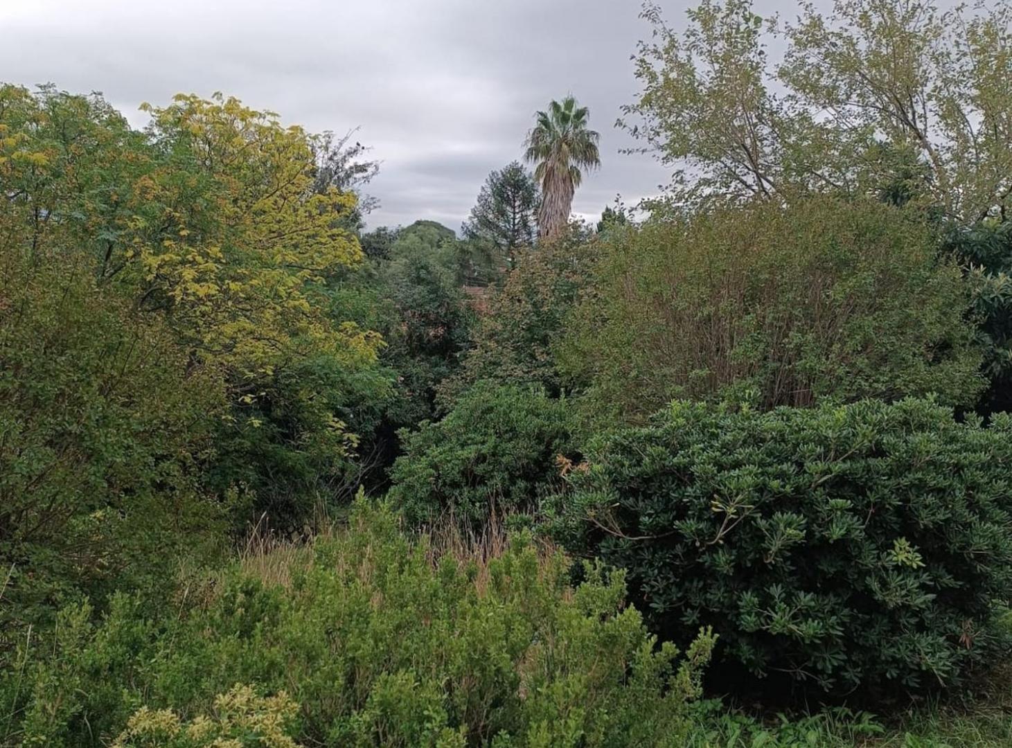 Foto de VENTA IMPONENTE LOTE 9.000MTS VILLA BELGRANO, imagen 5