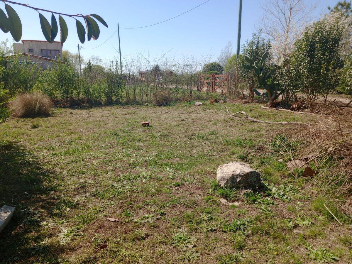 Foto de Venta casa + local en funcionamiento V. Yacanto, imagen 4
