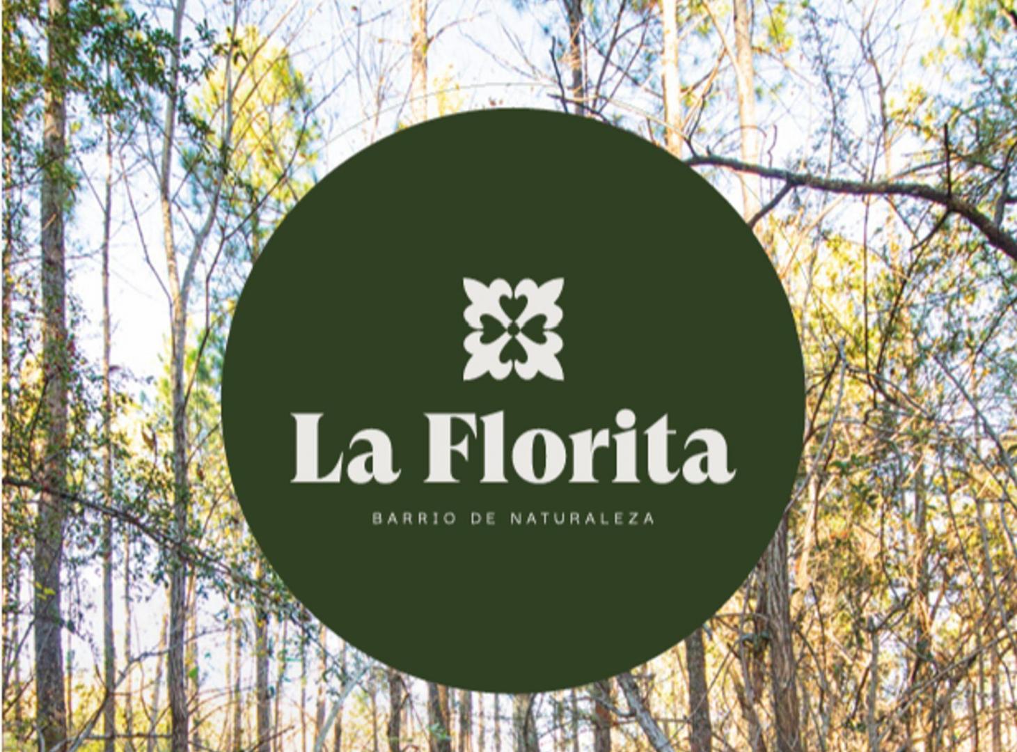 Foto de LOTE EN LA FLORITA VILLA GENERAL BELGRANO, imagen 4