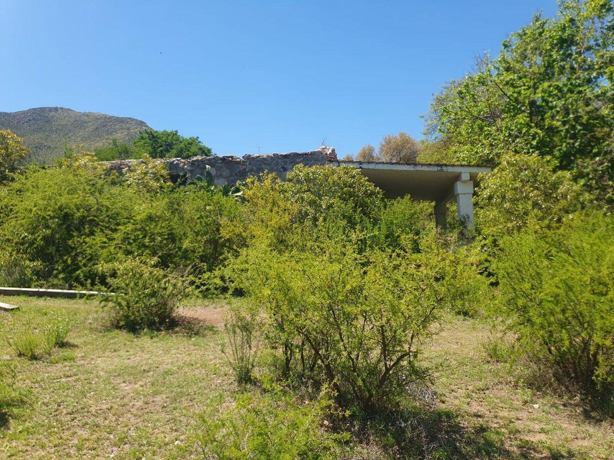 Foto de VENTA ESTANCIA DE 38 HECTAREAS. VILLA GIARDINO, imagen 3