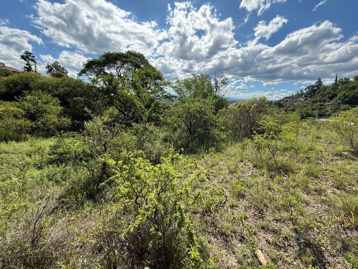 Foto de VENTA LOTE TERRAZAS DE BIALET MASSE, imagen 3