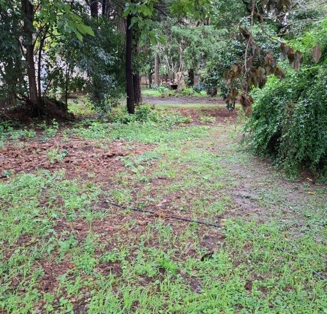 Foto de TERRENO EN VENTA CON POTENCIAL SOBRE CNO 60 CUADRA, imagen 5