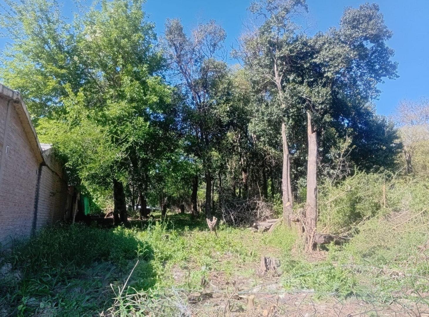 Foto de VENTA TERRENO EN LA GRANJA 420 MTS2, imagen 1